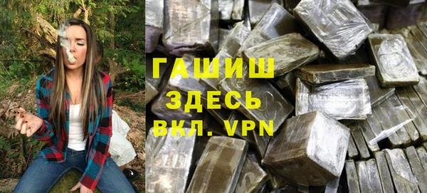 сатива Верея