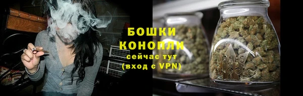 сатива Верея