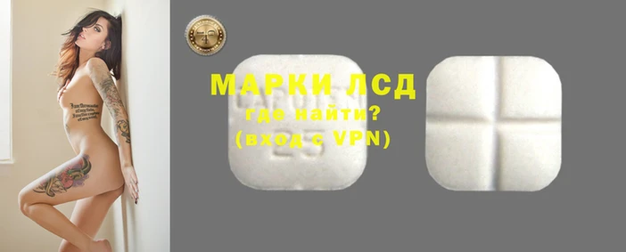 сатива Верея