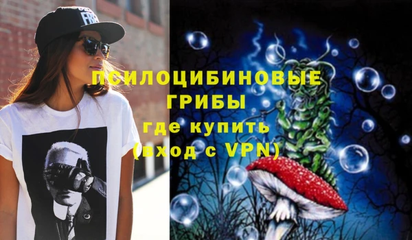 сатива Верея