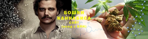 сатива Верея