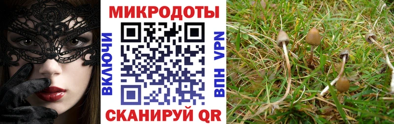 Псилоцибиновые грибы мухоморы  даркнет сайт  Чебоксары 